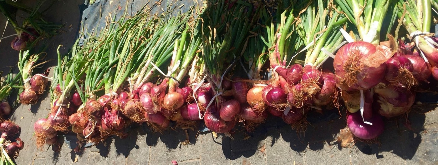 Red onions drying in the sun at a farmers market